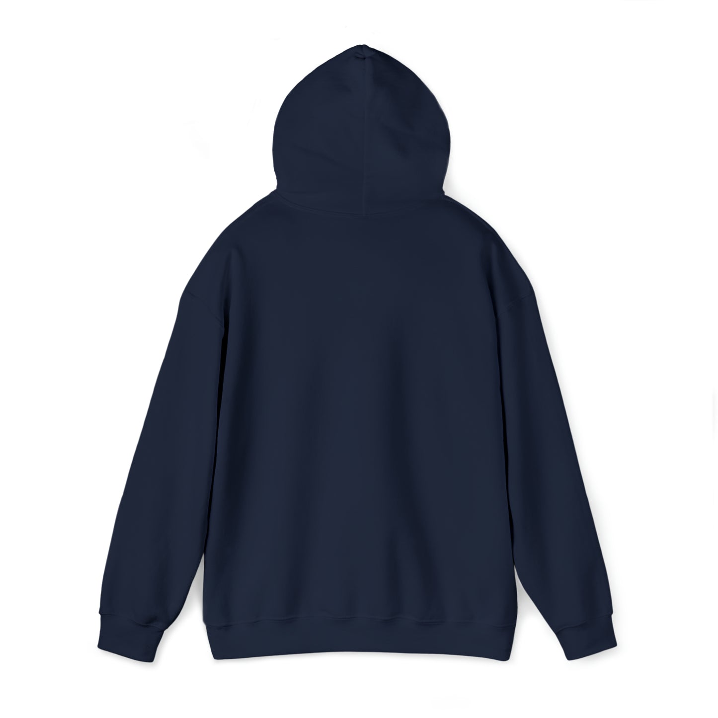 Nasa HODL Hooded Sweatshirt